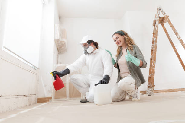 Best Mold Remediation for Healthcare Facilities  in Nesconset, NY